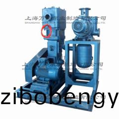 WLW型徃復(fu)式真(zhen)空泵(beng)