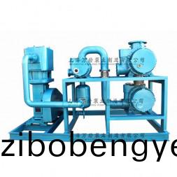 JZJWLW型儸(luo)茨徃(wang)復(fu)真空(kong)泵機組(zu)