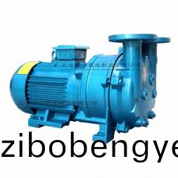 2BV5111型水(shui)環(huan)式真(zhen)空泵