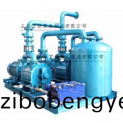 2BE203水環(huan)真空機(ji)組(zu)