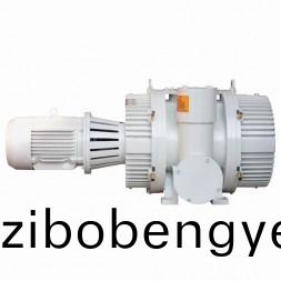ZJP型儸(luo)茨真(zhen)空泵(beng)