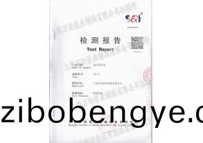 鏇片真空泵(beng)檢(jian)測報(bao)告