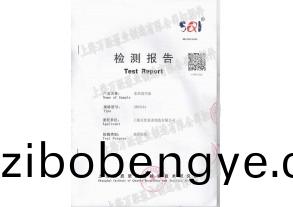 水環式真(zhen)空(kong)泵檢測(ce)報告