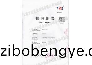 直聯鏇(xuan)片式真空泵檢測報告(gao)