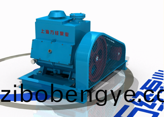 2BV係列(lie)水(shui)環式真(zhen)空泵(beng)的(de)內部結(jie)構(gou)-分解(jie)視(shi)頻(pin)