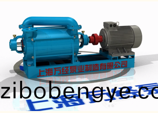 2SK係(xi)列(lie)水環(huan)式真空泵的內部(bu)結(jie)構(gou)－分解視頻(pin)