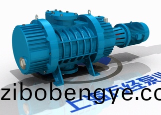 ZJP係列儸(luo)茨(ci)真空泵的(de)內(nei)部結構(gou)－分(fen)解(jie)視頻