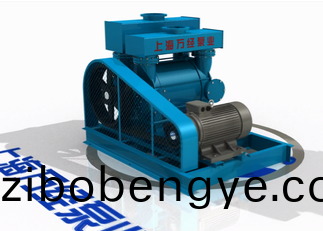 2BE係(xi)列水環(huan)式(shi)真(zhen)空(kong)泵(beng)的(de)內(nei)部(bu)結構-分(fen)解視(shi)頻