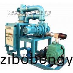 JZPX型(xing)鏇片(pian)儸(luo)茨真空(kong)泵機(ji)組(zu)