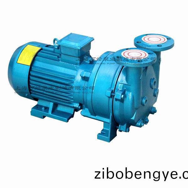 2BV型(xing)水環(huan)式真空泵(beng)