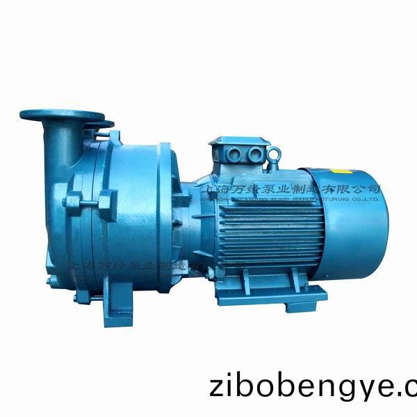 2BV5161型水環(huan)式真空(kong)泵(beng)