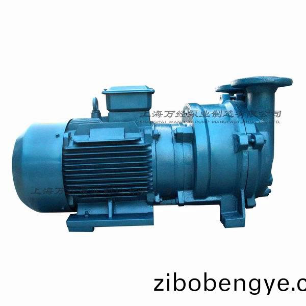 2BV5131型(xing)水環(huan)式真空(kong)泵