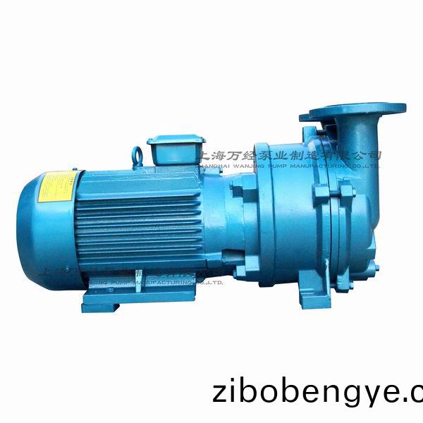 2BV5121型水環式真(zhen)空泵(beng)