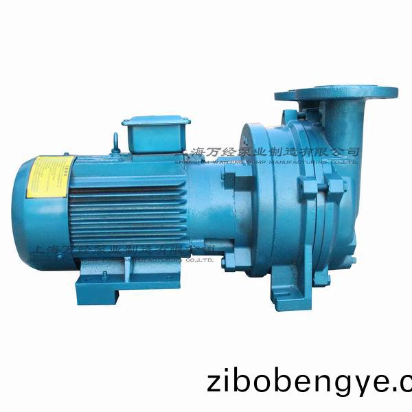 2BV5110型(xing)水環(huan)式真(zhen)空(kong)泵
