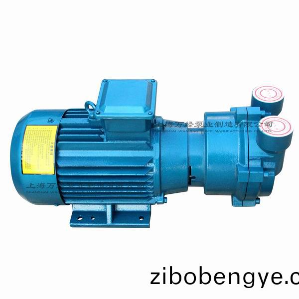 2BV2071型水環式(shi)真空泵(beng)