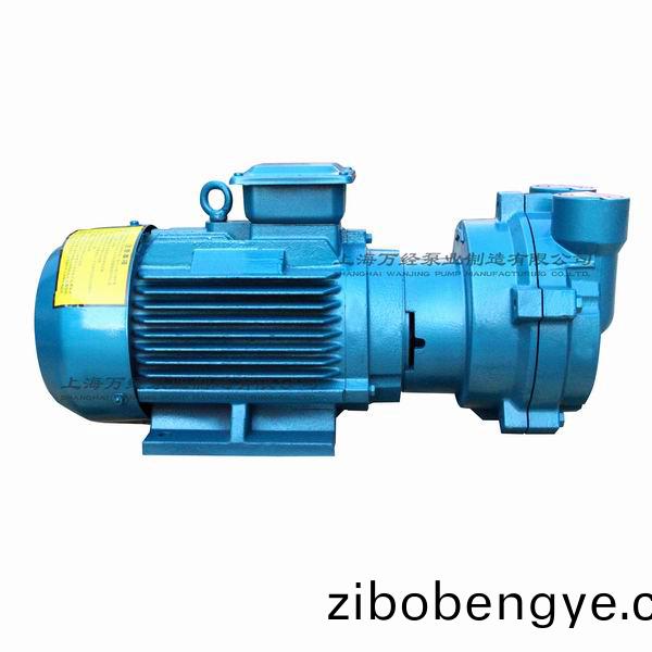 2BV2070型水環(huan)式(shi)真(zhen)空(kong)泵(beng)