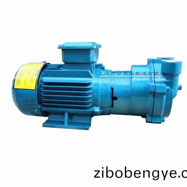 2BV2061型(xing)水環式真(zhen)空泵