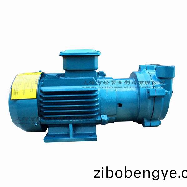 2BV2060型(xing)水(shui)環式真空(kong)泵(beng)