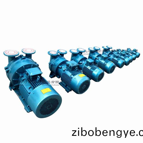 2BV型水環式(shi)真空(kong)泵