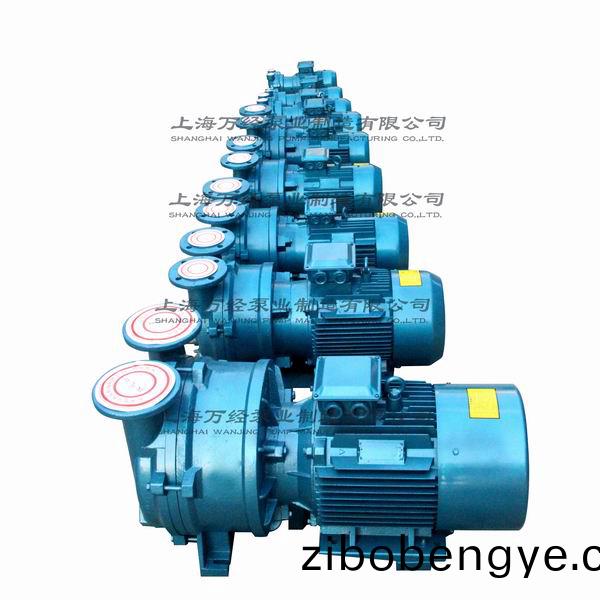 2BV型(xing)水環(huan)式(shi)真(zhen)空泵(beng)
