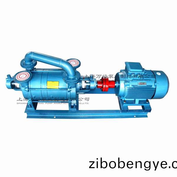 2SK-6型(xing)水環(huan)式真空泵(beng)