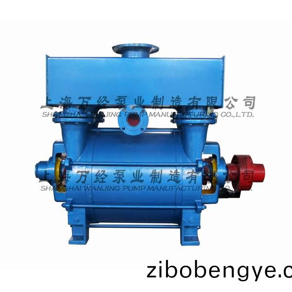 2BE1-252型水環(huan)式(shi)真(zhen)空(kong)泵(beng)