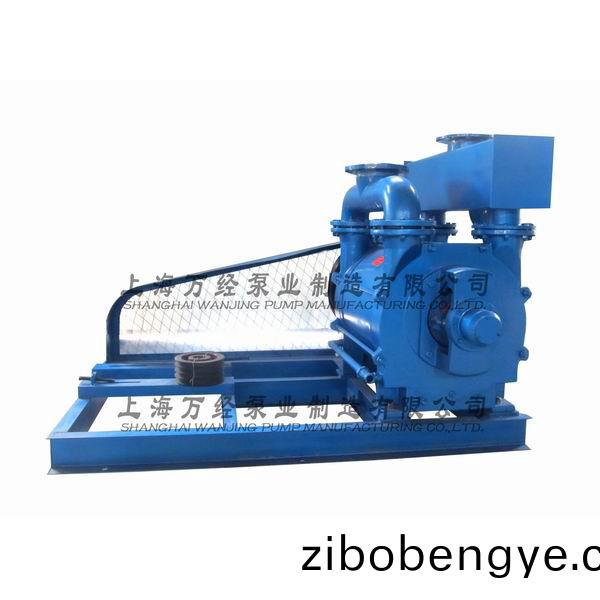 2BE1-253型水環式真(zhen)空(kong)泵