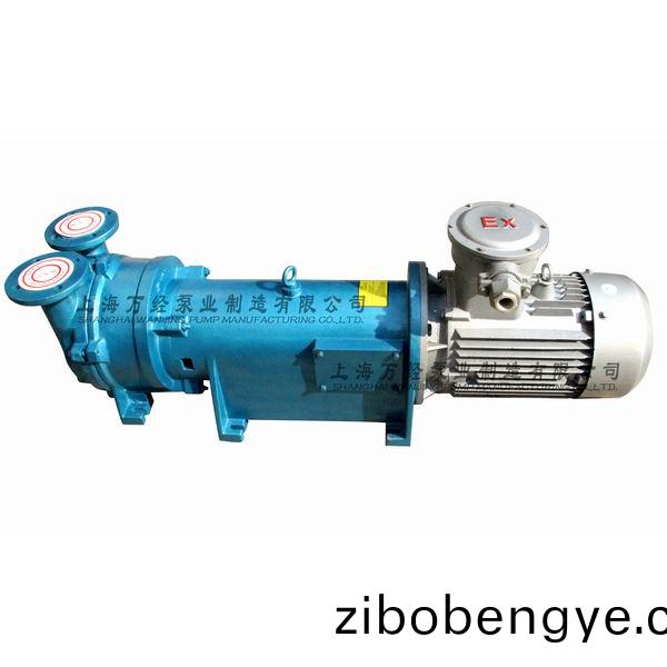 2BV6121型水環式(shi)真空(kong)泵