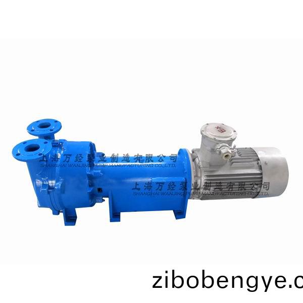 2BV6131型(xing)水環式(shi)真空泵(beng)