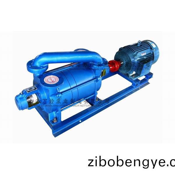 2SK-6型水(shui)環式(shi)真空泵(beng)