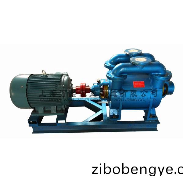 SK-12型水(shui)環(huan)式真空(kong)泵