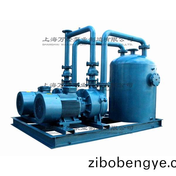 2BV5161水(shui)環(huan)真空(kong)機(ji)組