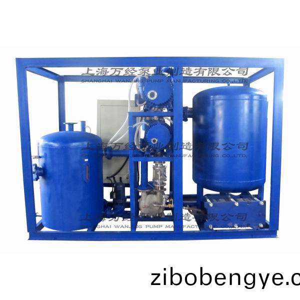 JZJ2B600+300+5161型(xing)水(shui)環(huan)儸茨(ci)真空(kong)泵機組