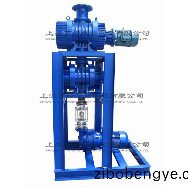 JZJ2B300+150+2BV5121型水環(huan)儸茨(ci)真(zhen)空泵機(ji)組