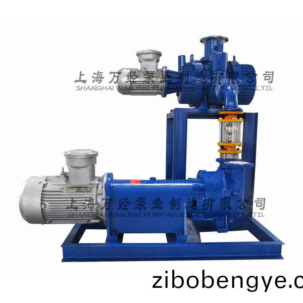 JZJ2B150+2BV6131型(xing)水(shui)環(huan)儸茨真(zhen)空(kong)泵機組(zu)