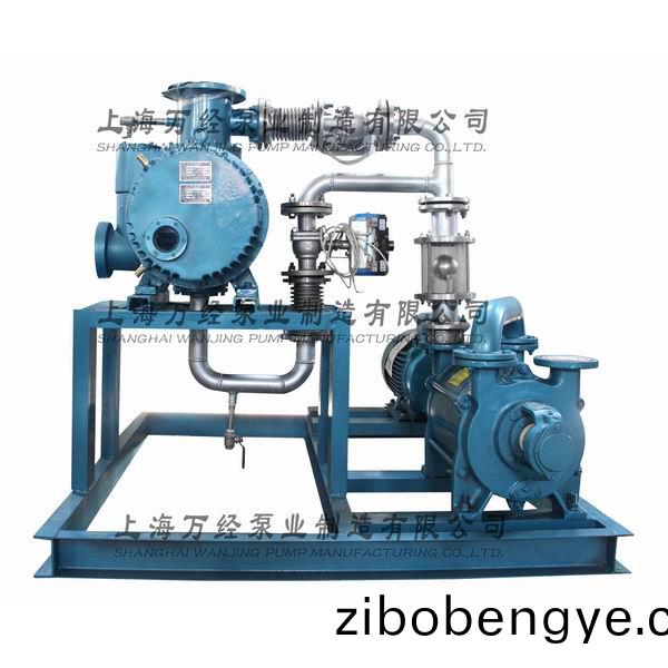 JZJ2S300+2KS-6型水(shui)環(huan)儸(luo)茨(ci)真空(kong)泵機組