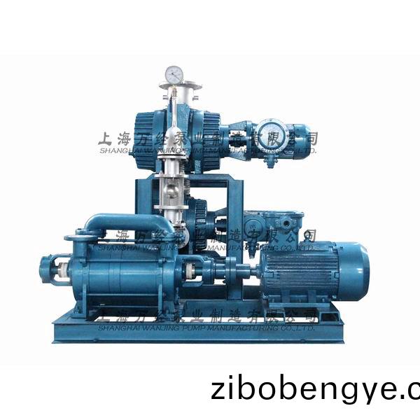 JZJ2S600+300+2KS-12型(xing)水環(huan)儸(luo)茨真(zhen)空(kong)泵(beng)機(ji)組