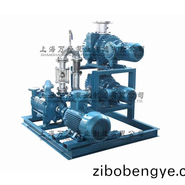 JZJ2S600+300+2KS-12型水環(huan)儸(luo)茨真空(kong)泵(beng)機(ji)組