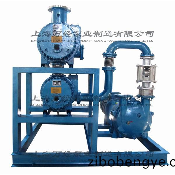 JZJ2B600+300+6131型水環儸茨真空(kong)泵(beng)機組(zu)