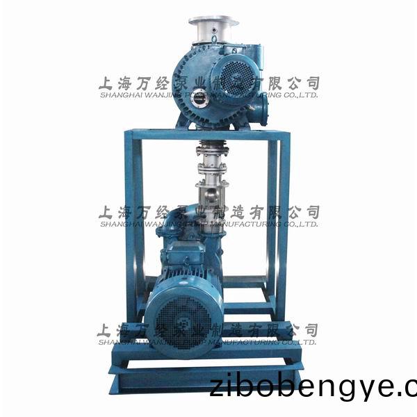 JZJ2S600+2KS-12型水環(huan)儸茨(ci)真空泵(beng)機組(zu)