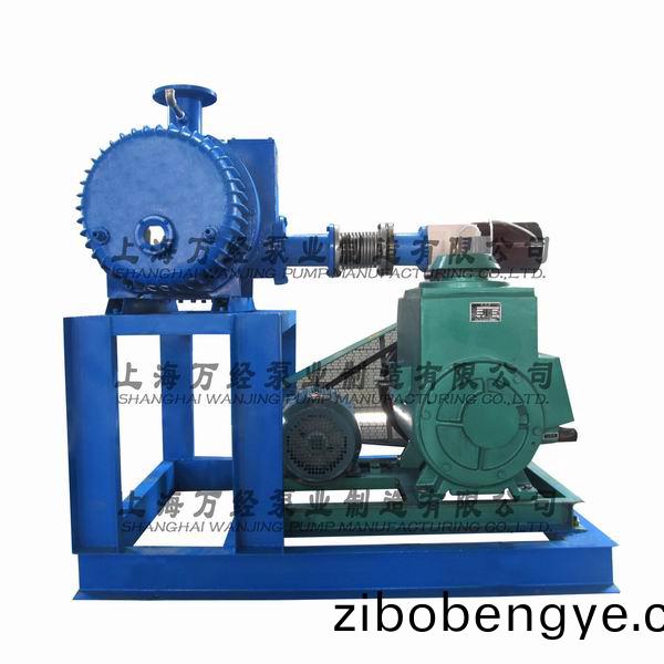 JZJX型鏇(xuan)片儸(luo)茨真空泵機組(zu)