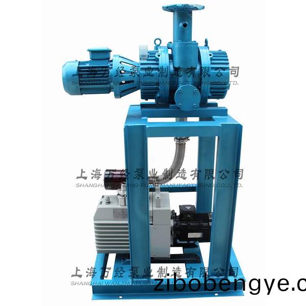 JZJX70+2XZ-15型鏇片(pian)儸(luo)茨真空(kong)泵機組