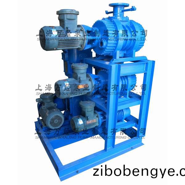 JZJWLW300+150+70+WLW-70型(xing)儸(luo)茨(ci)徃(wang)復真(zhen)空(kong)泵機(ji)組